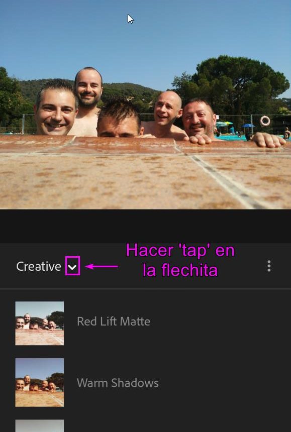 crear filtros de instagram personalizados lightroom 17